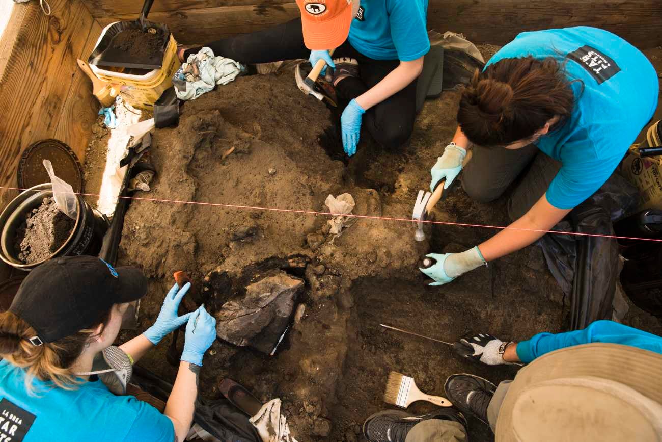 La Brea Tar Pits The Story of an LA Icon Discover Los Angeles